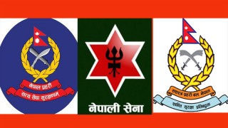 देशभरि कूल ३ सय ८२ सुरक्षाकर्मीमा कोरोना संक्रमण