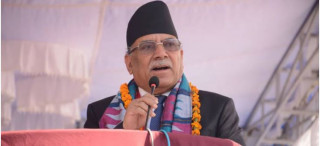 म राजनीतिक र वैधानिक रुपमा दलको नेता भएँ:प्रचण्ड